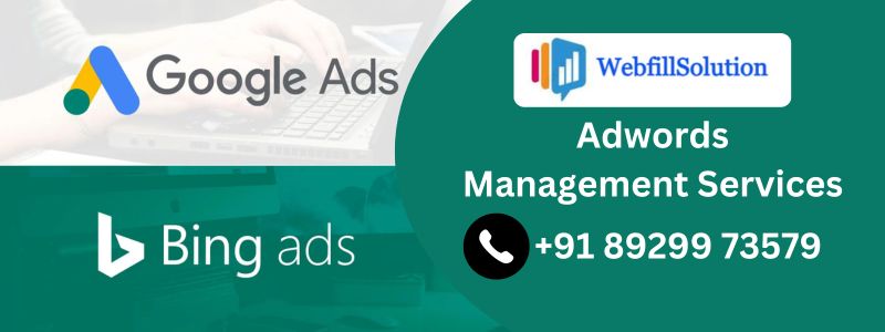 Adwords Management Services in barrackpur, india| Single Page Website Design